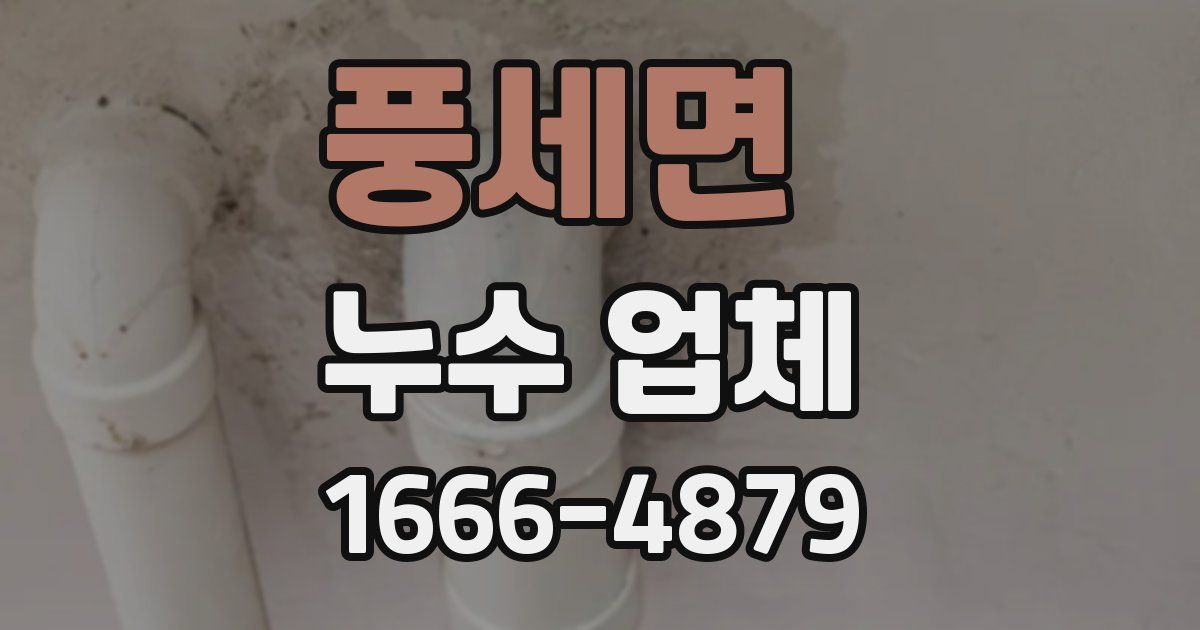 풍세면 누수 업체