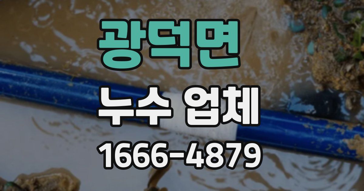 광덕면 누수 업체