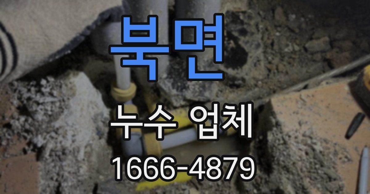 북면 누수 업체