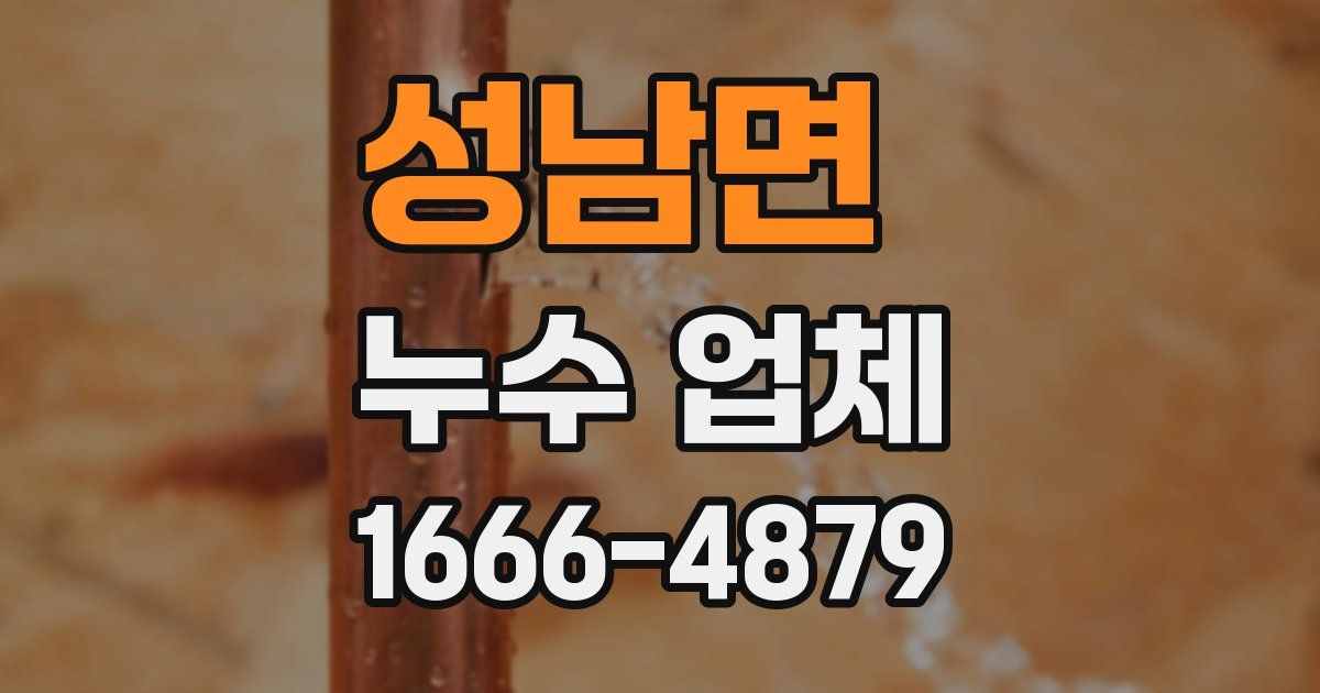 성남면 누수 업체