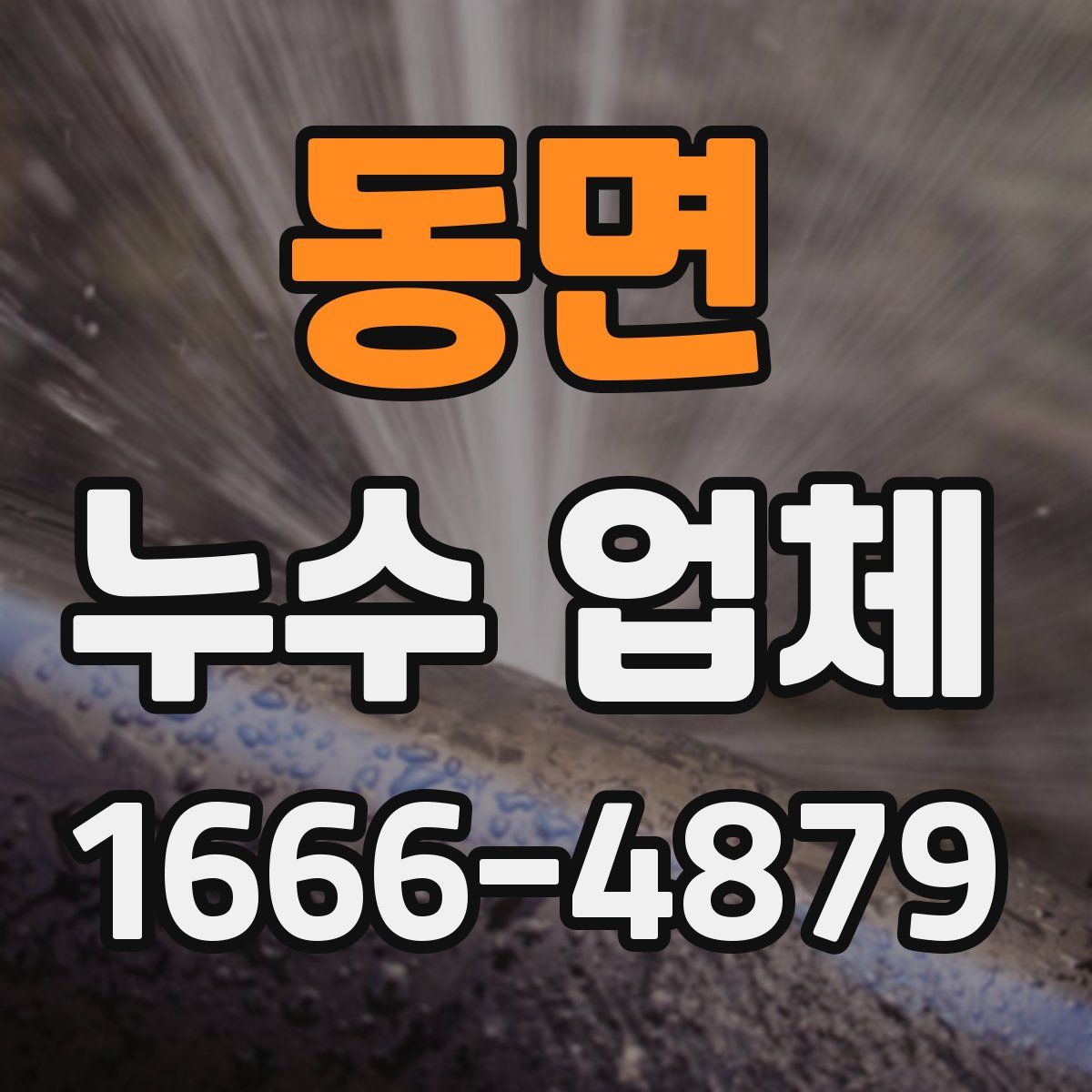 동면 누수 업체