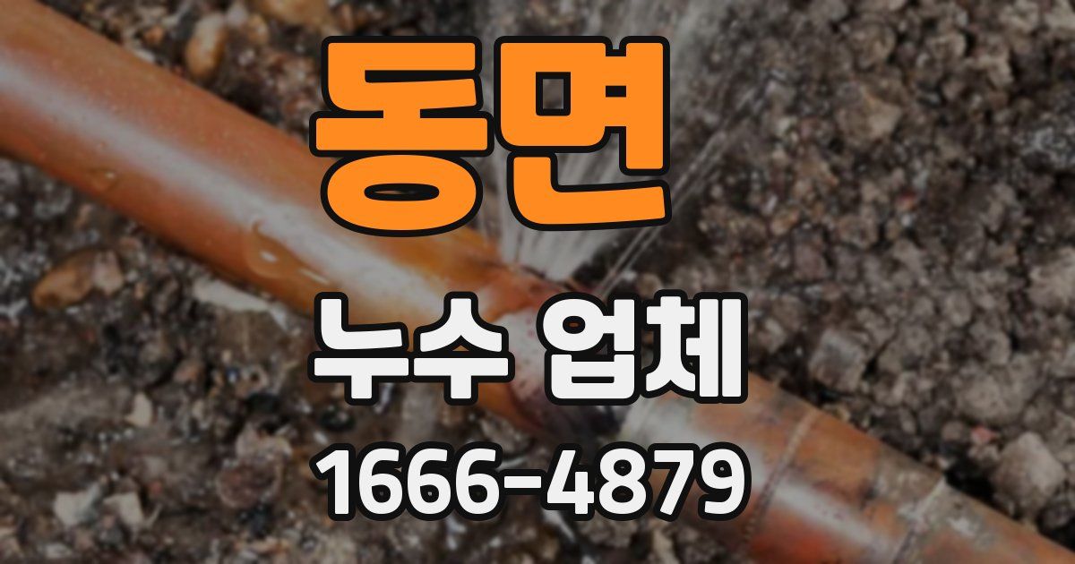 동면 누수 업체