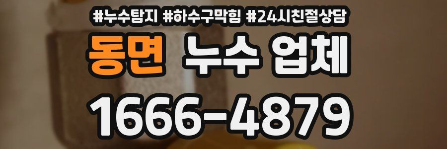 동면 누수 업체