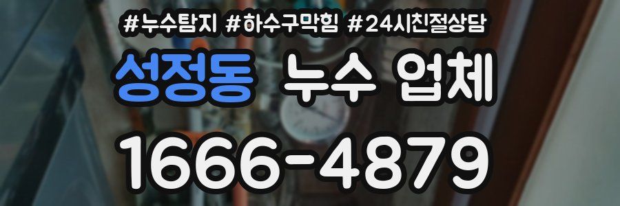 성정동 누수 업체