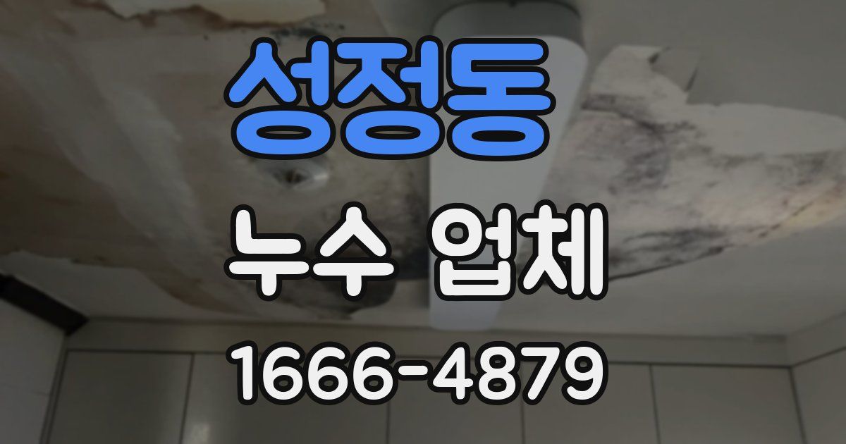 성정동 누수 업체