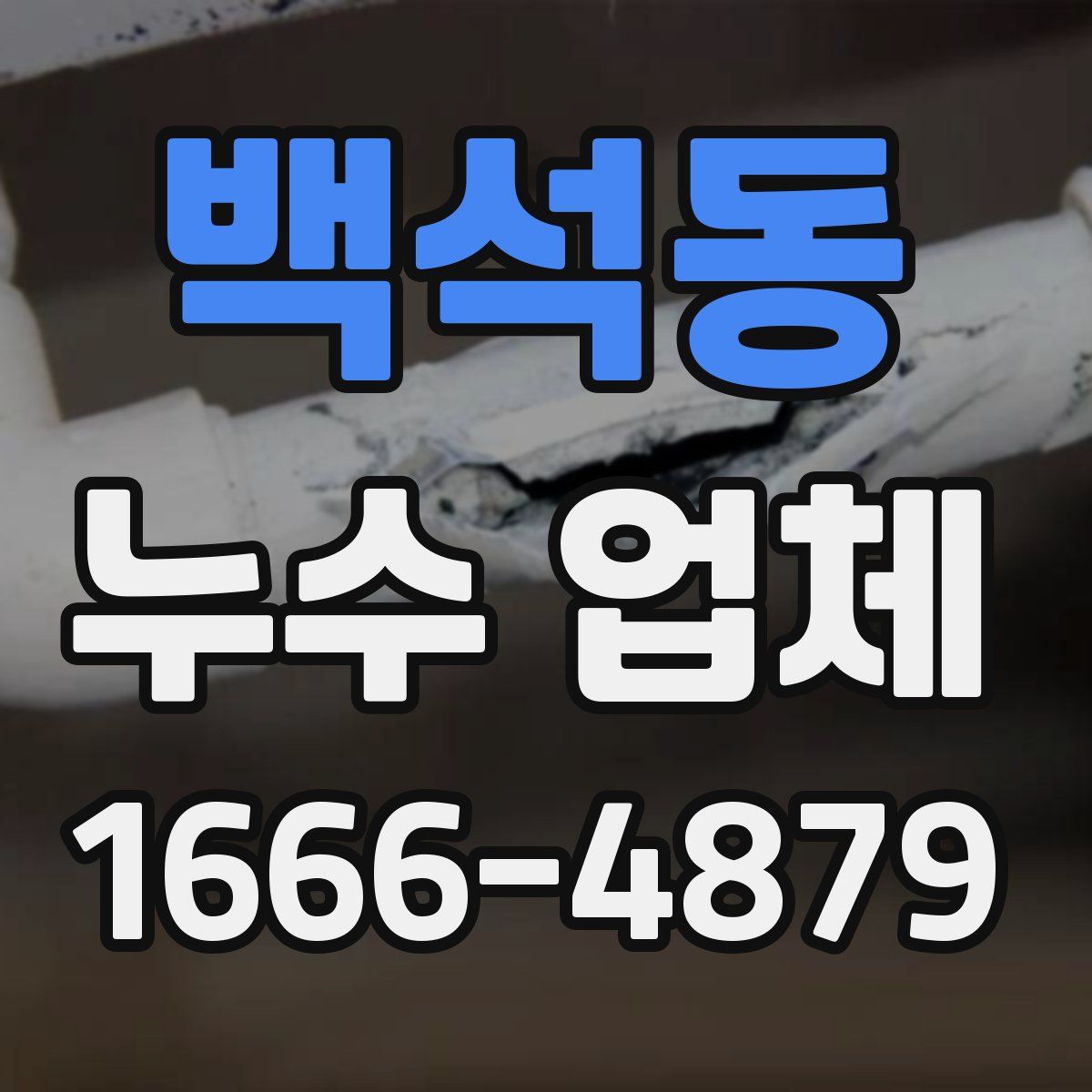 백석동 누수 업체