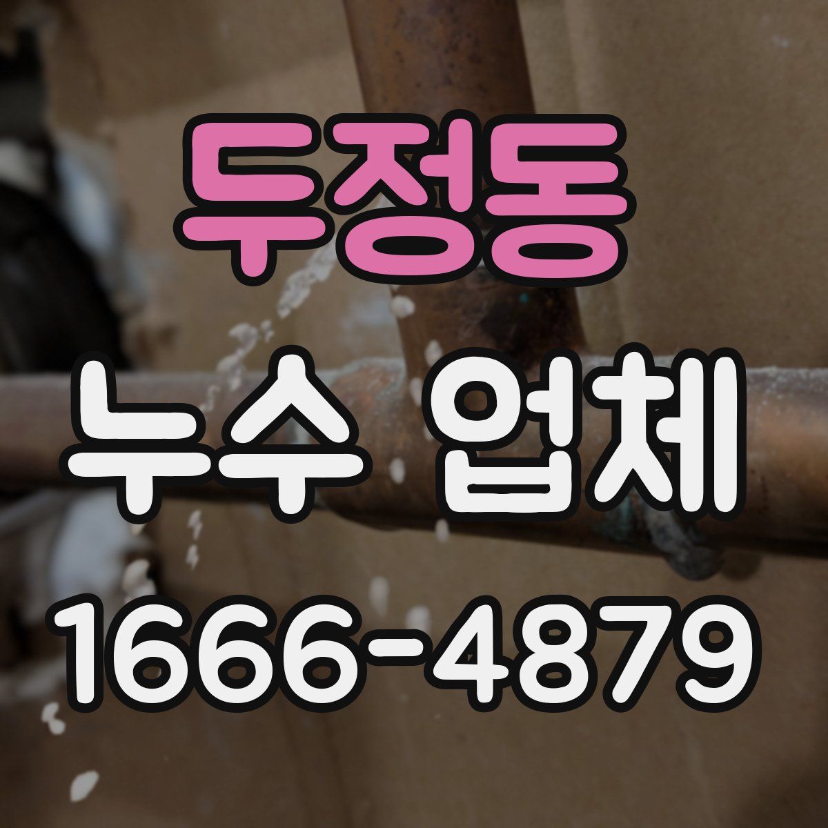 두정동 누수 업체