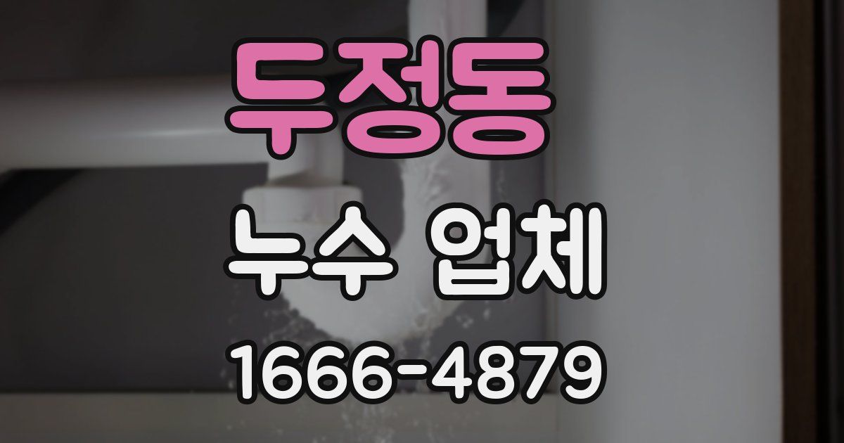 두정동 누수 업체