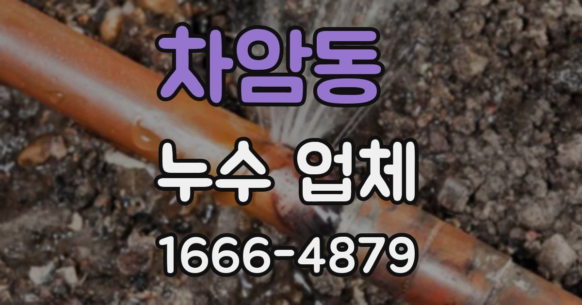 차암동 누수 업체