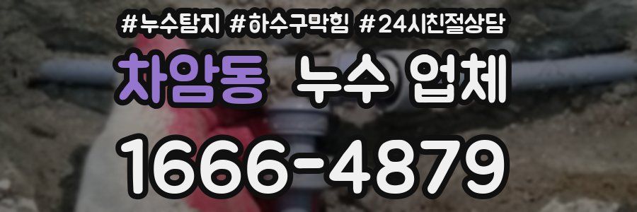 차암동 누수 업체