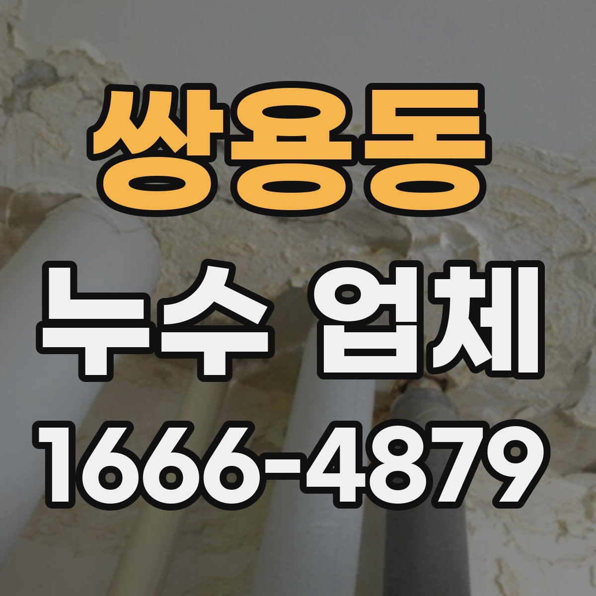 쌍용동 누수 업체