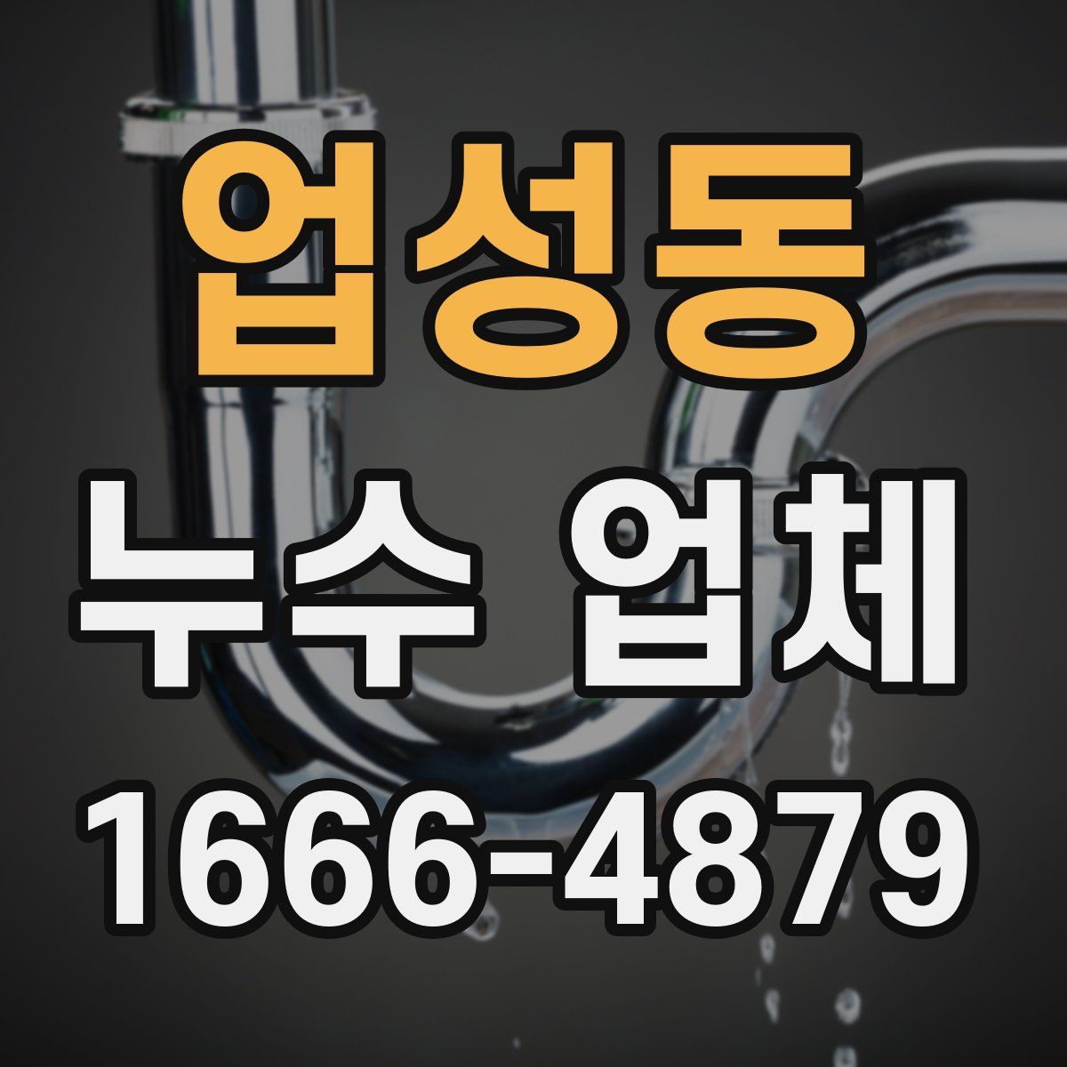 업성동 누수 업체