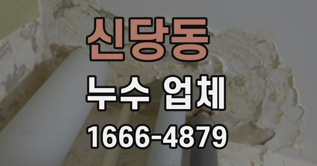 신당동 누수 업체