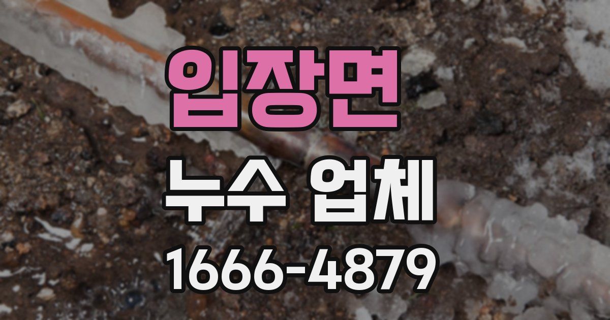 입장면 누수 업체