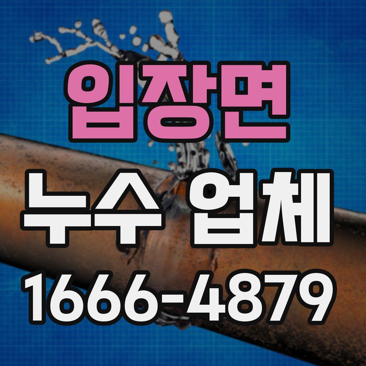 입장면 누수 업체