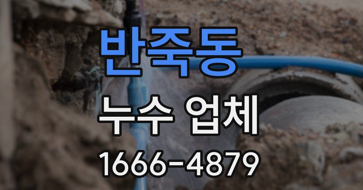 반죽동 누수 업체