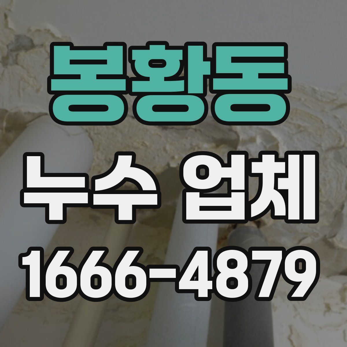 봉황동 누수 업체