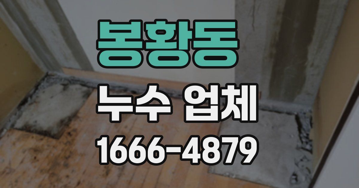 봉황동 누수 업체