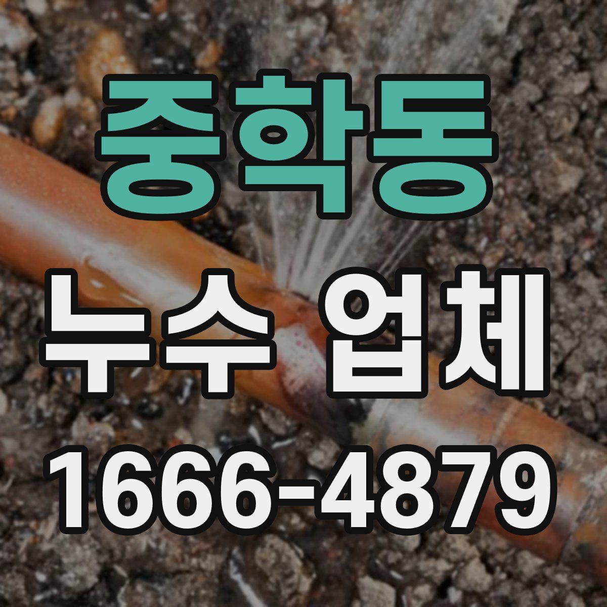 중학동 누수 업체