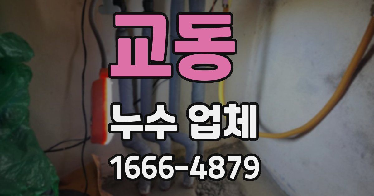 교동 누수 업체