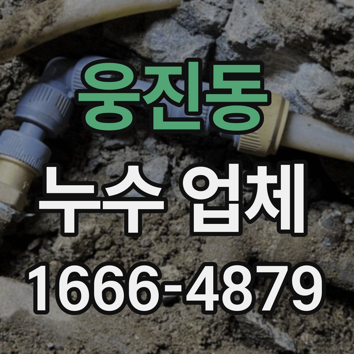 웅진동 누수 업체