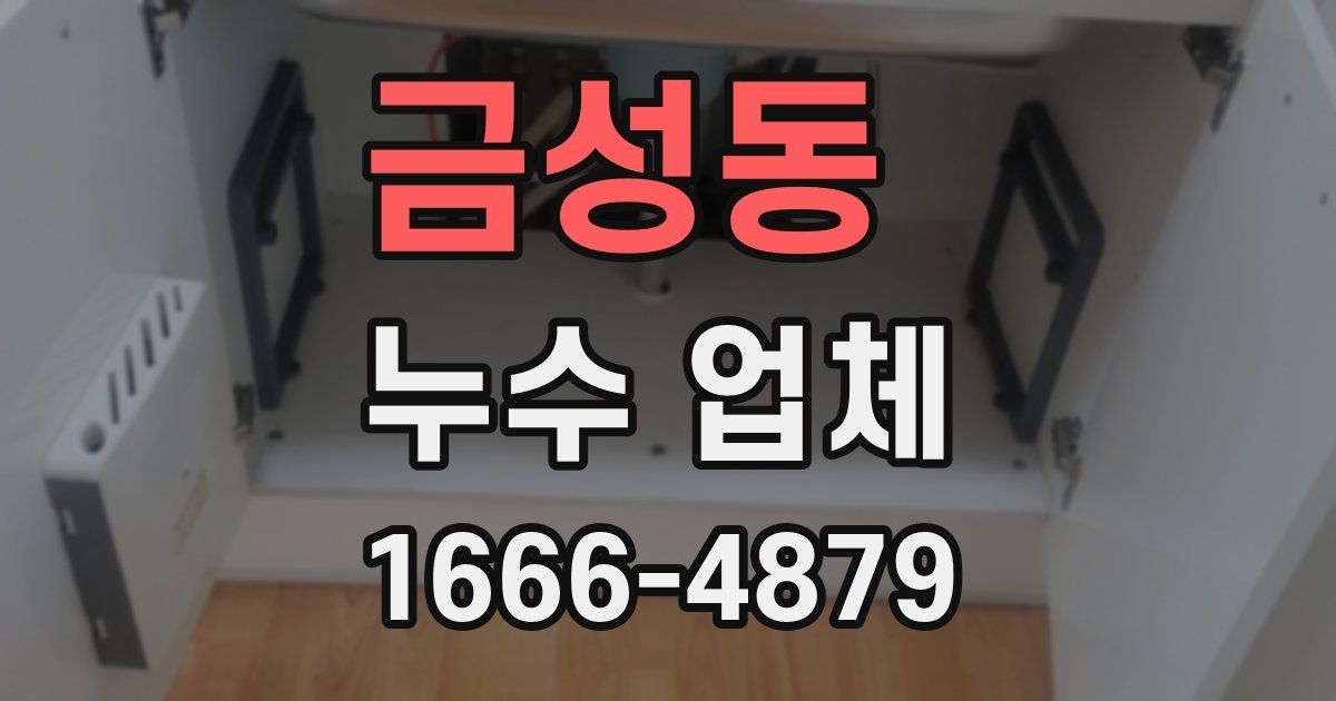 금성동 누수 업체