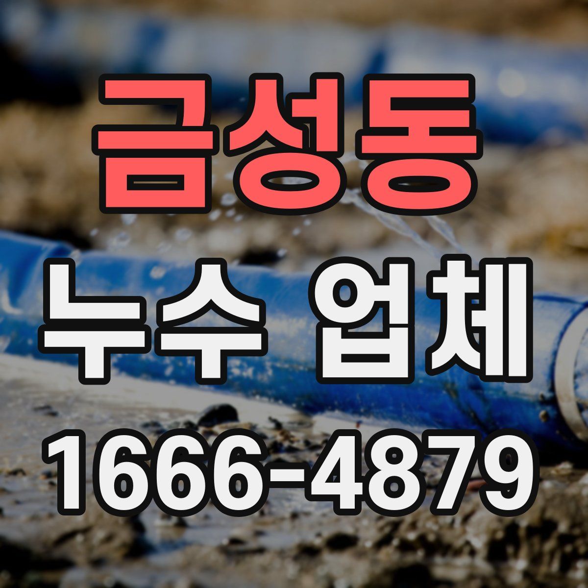 금성동 누수 업체