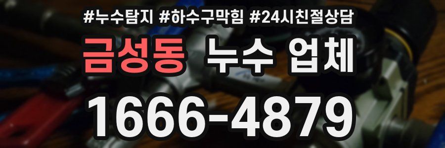 금성동 누수 업체