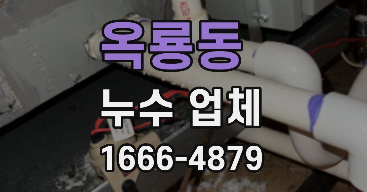 옥룡동 누수 업체
