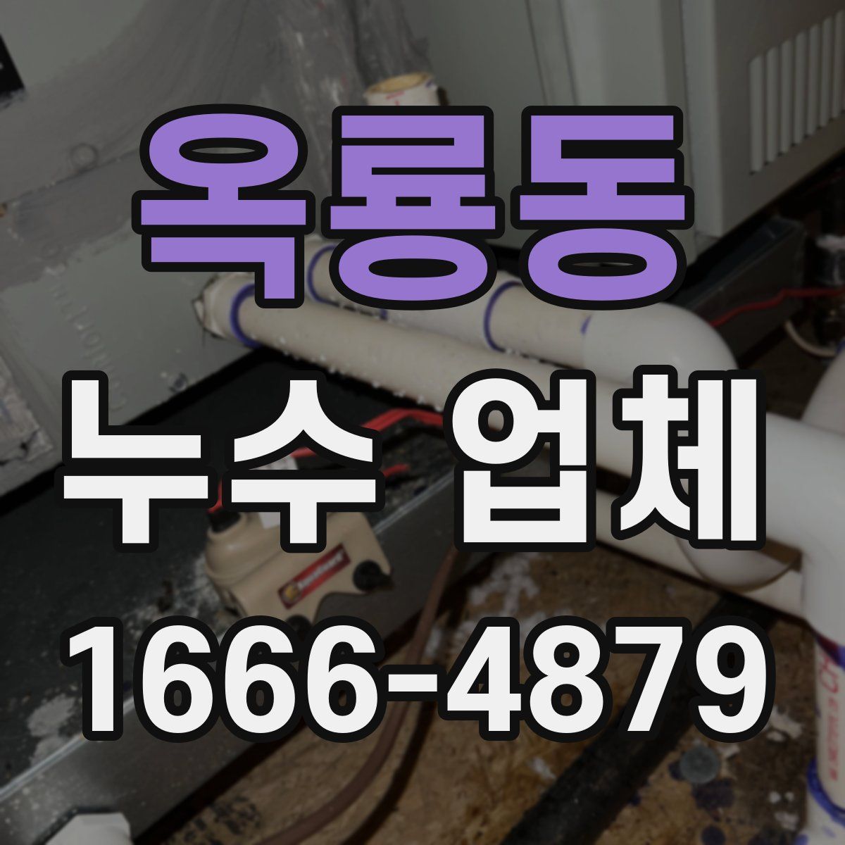 옥룡동 누수 업체