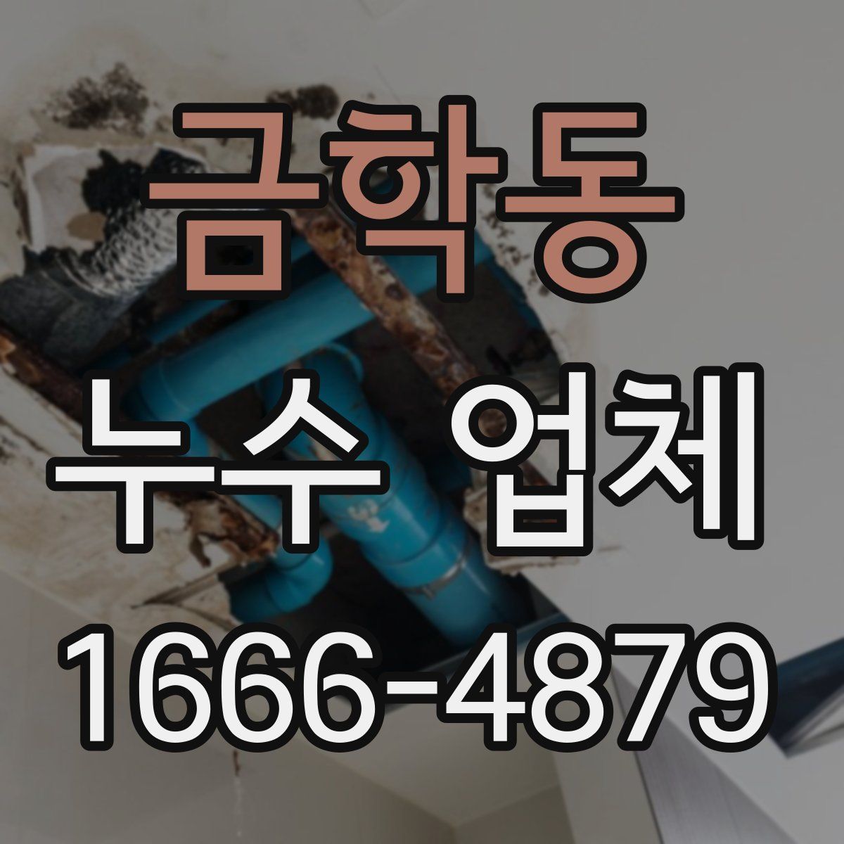 금학동 누수 업체