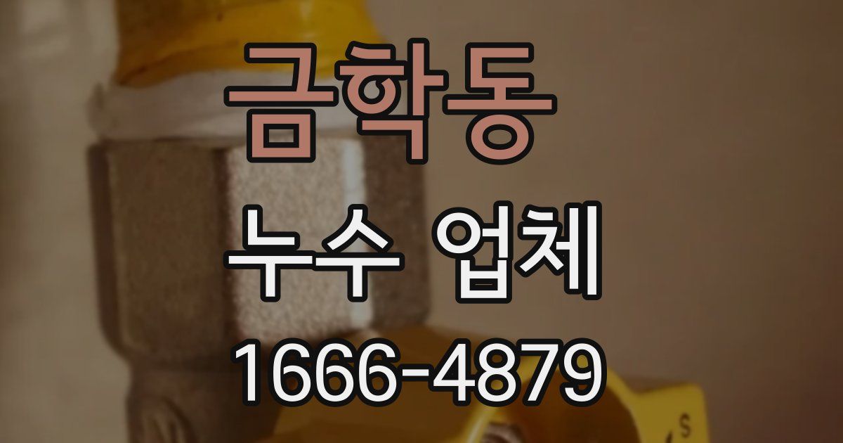금학동 누수 업체