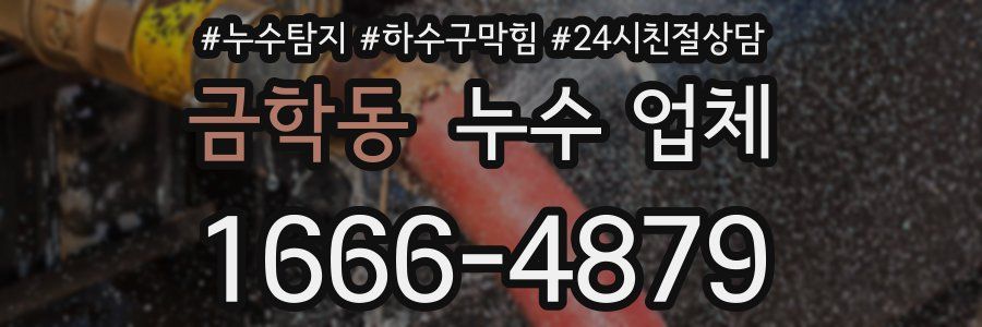 금학동 누수 업체