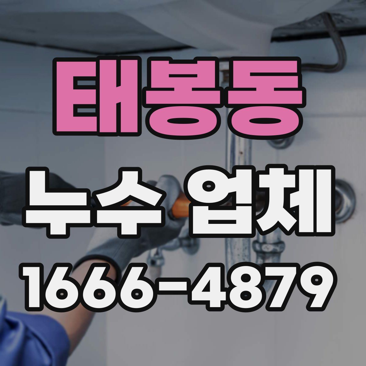 태봉동 누수 업체