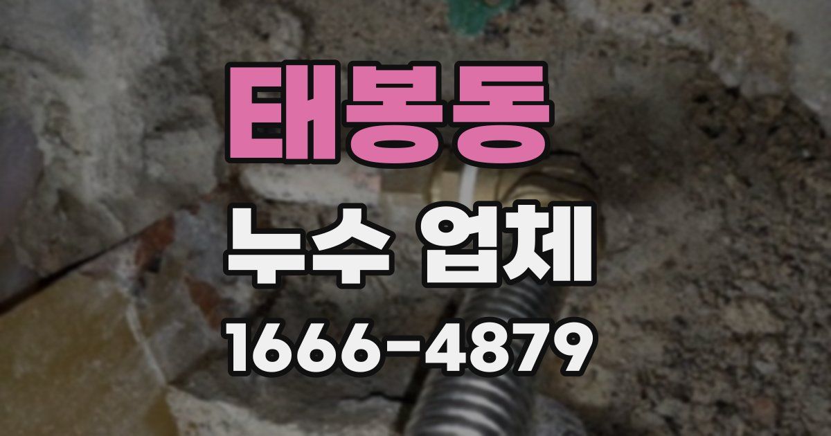 태봉동 누수 업체