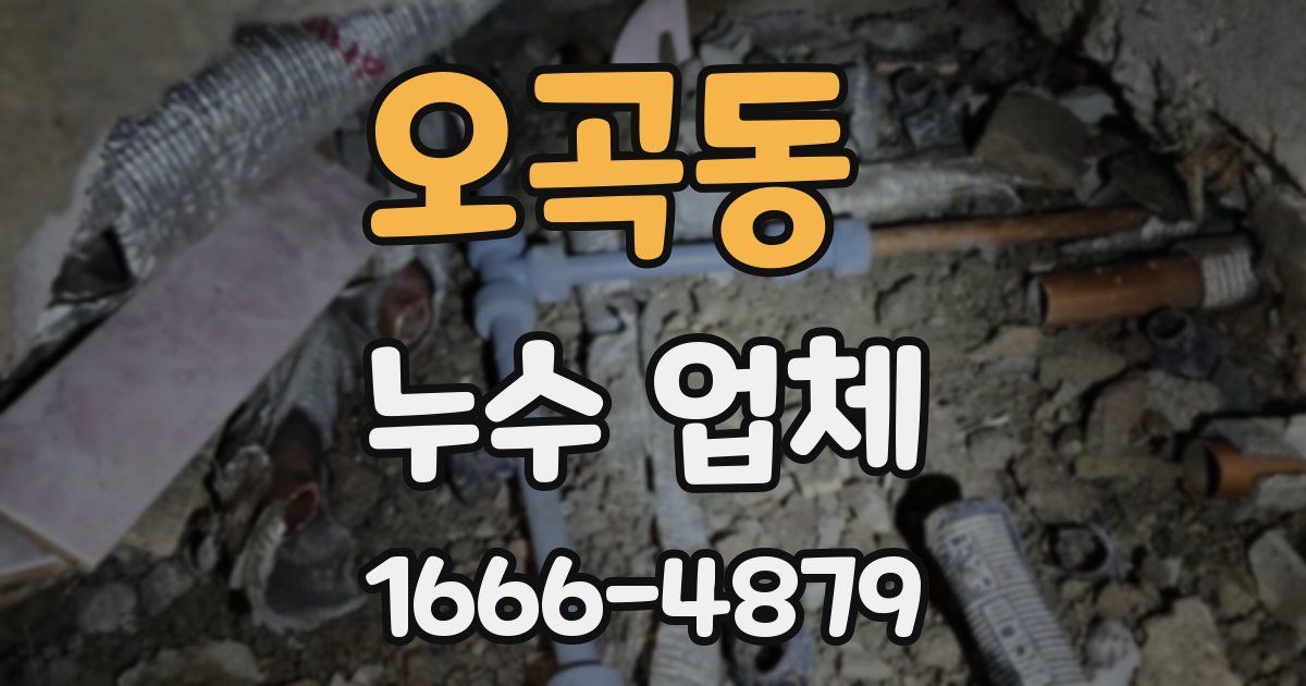 오곡동 누수 업체