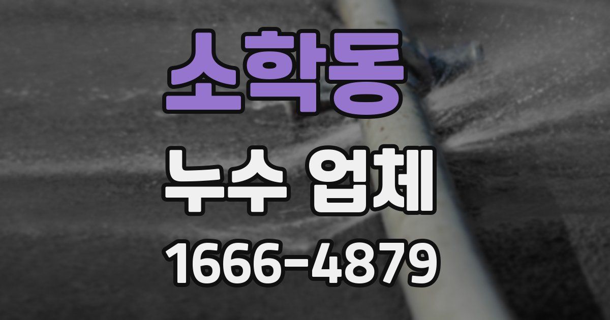 소학동 누수 업체