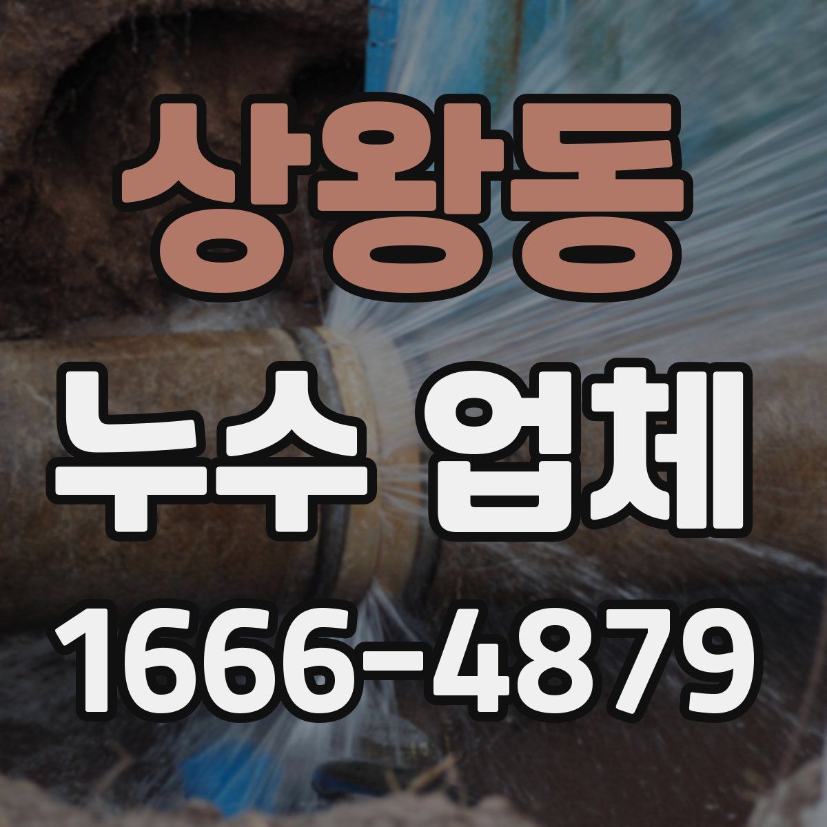 상왕동 누수 업체