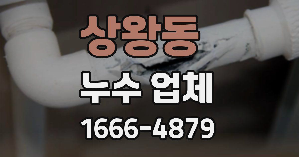 상왕동 누수 업체