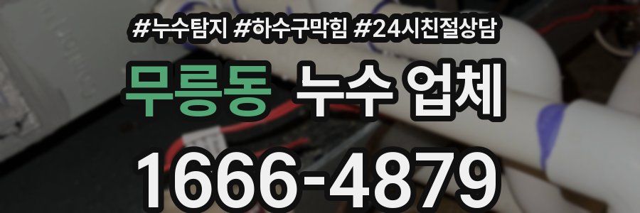 무릉동 누수 업체