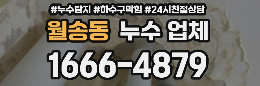 월송동 누수 업체
