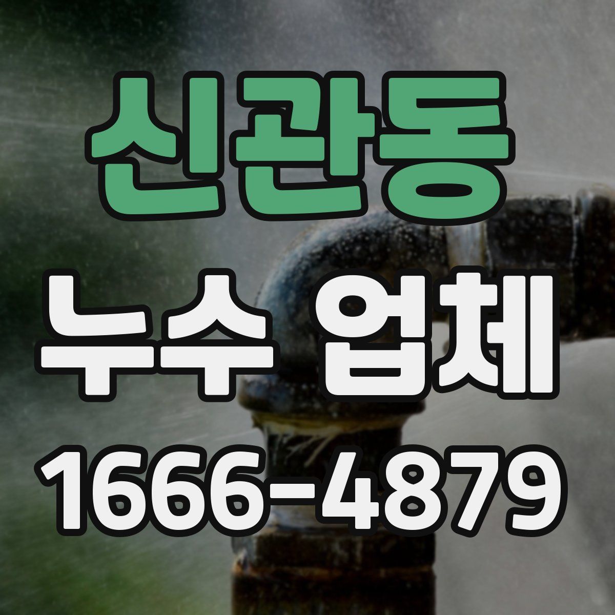 신관동 누수 업체