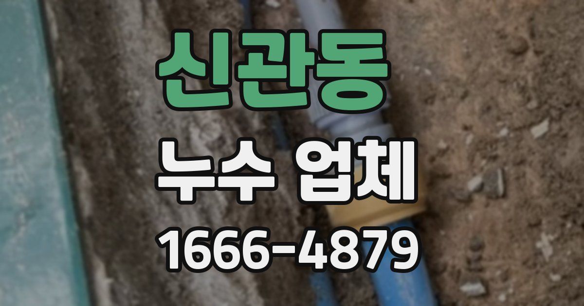 신관동 누수 업체