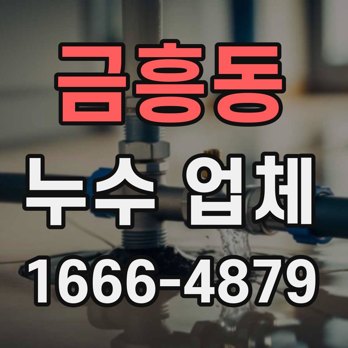 금흥동 누수 업체