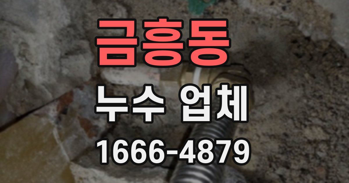 금흥동 누수 업체