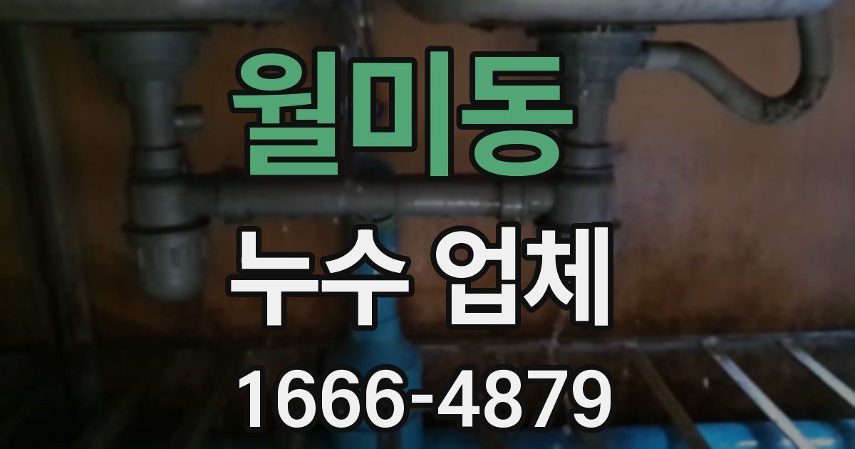 월미동 누수 업체