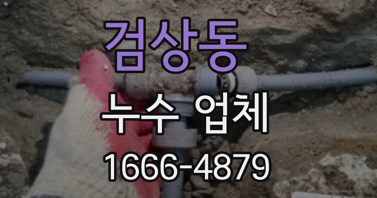 검상동 누수 업체