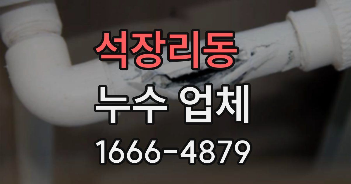 석장리동 누수 업체