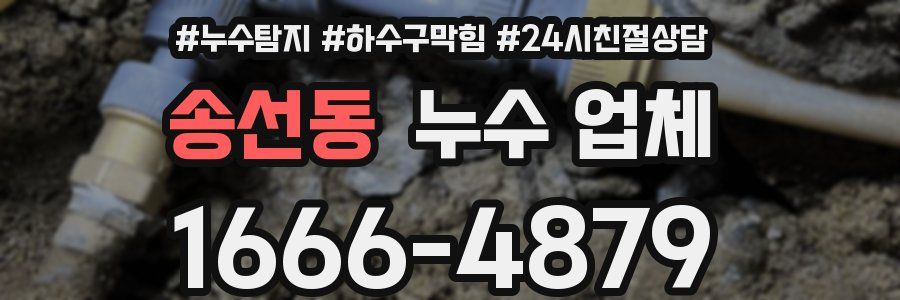 송선동 누수 업체