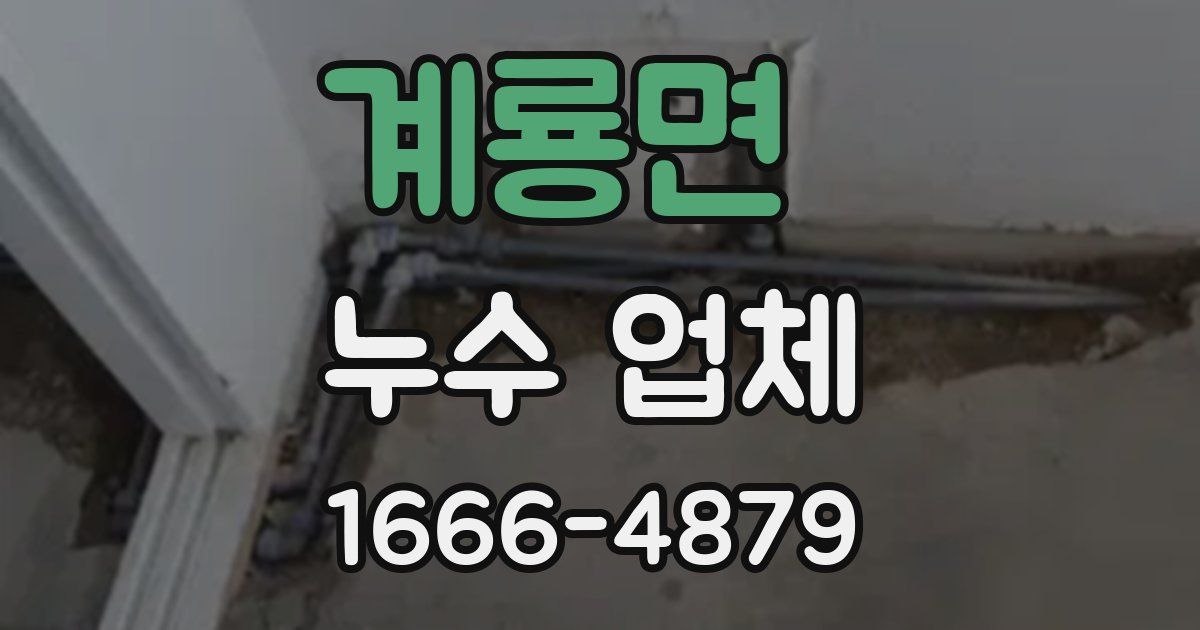 계룡면 누수 업체